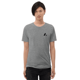 Acme T-Shirt - 1724748962160-t-shirt-color-gray
